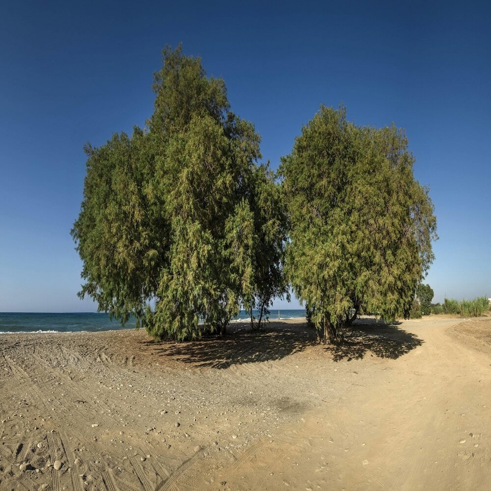 Фото Sirens House