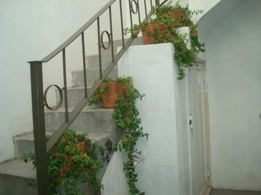 Фото Casa Mariel