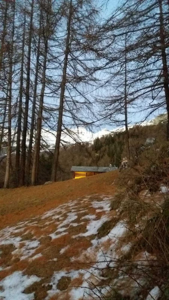 Фото Baita Ancienne Bergerie