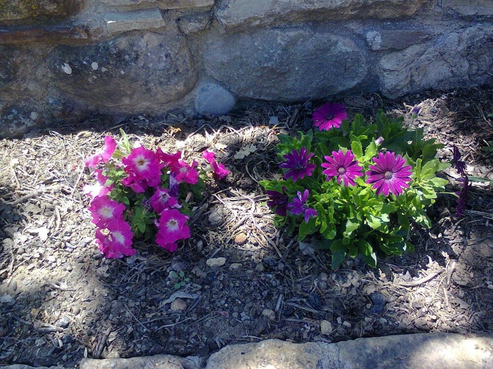 Фото Agriturismo San Pietro