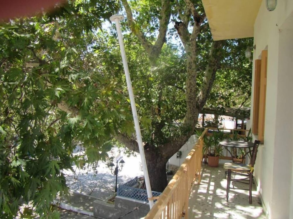 Фото Harmony Apartments