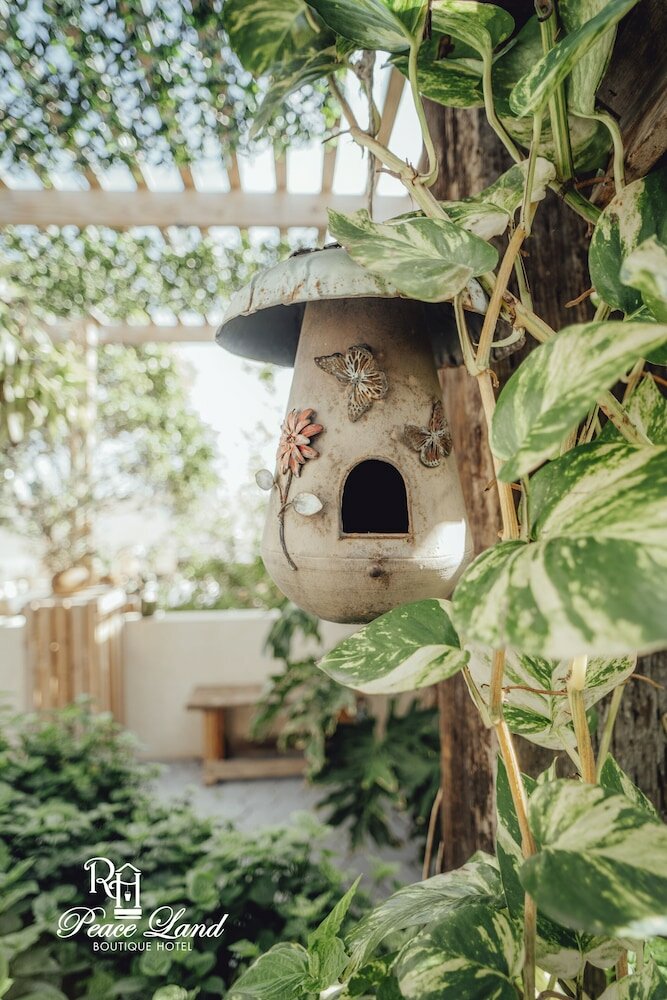 Фото Rh Boutique Hotel Aruba