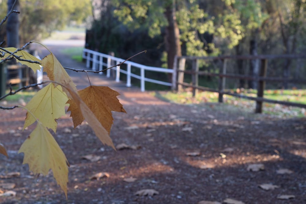 Фото Brockman Park Estate