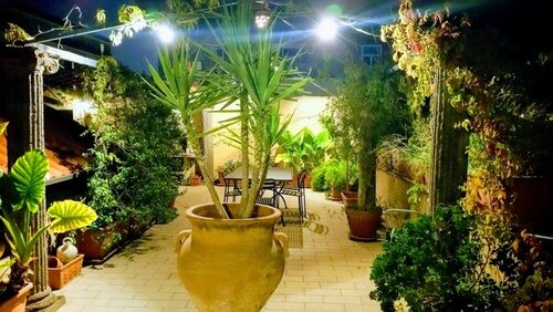 Mediterranean Roof