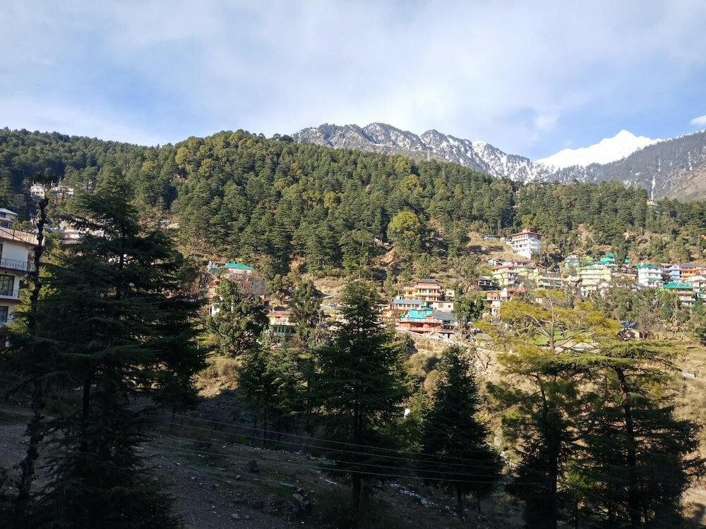 Фото Hotel Pine Spring