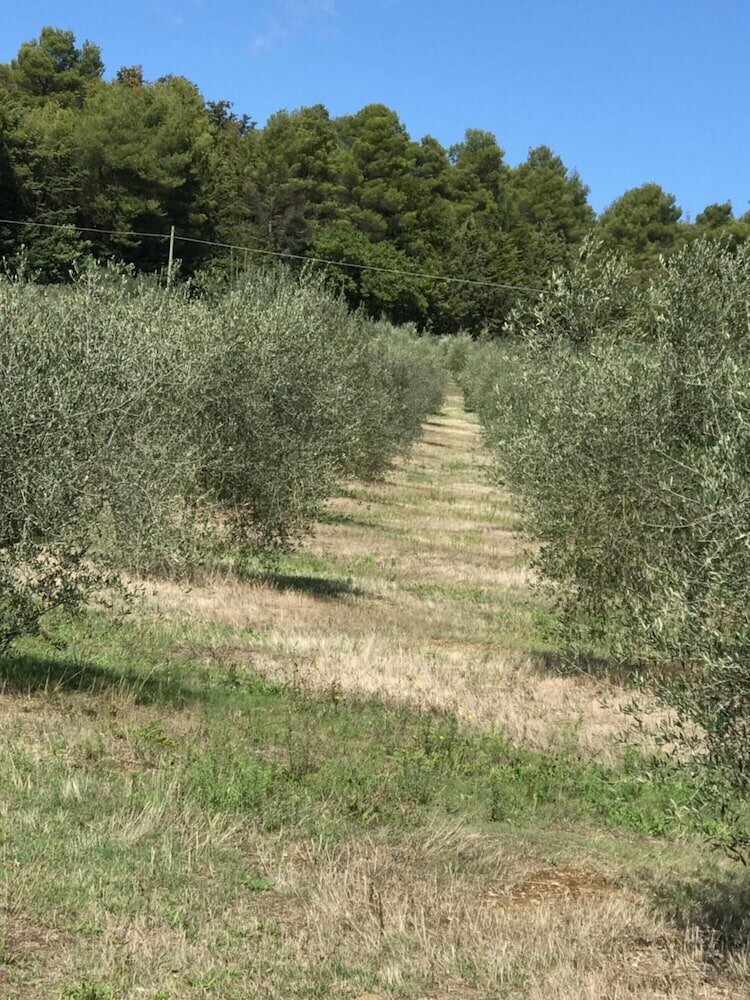 Фото Azienda Agrituristica i Tre Casali