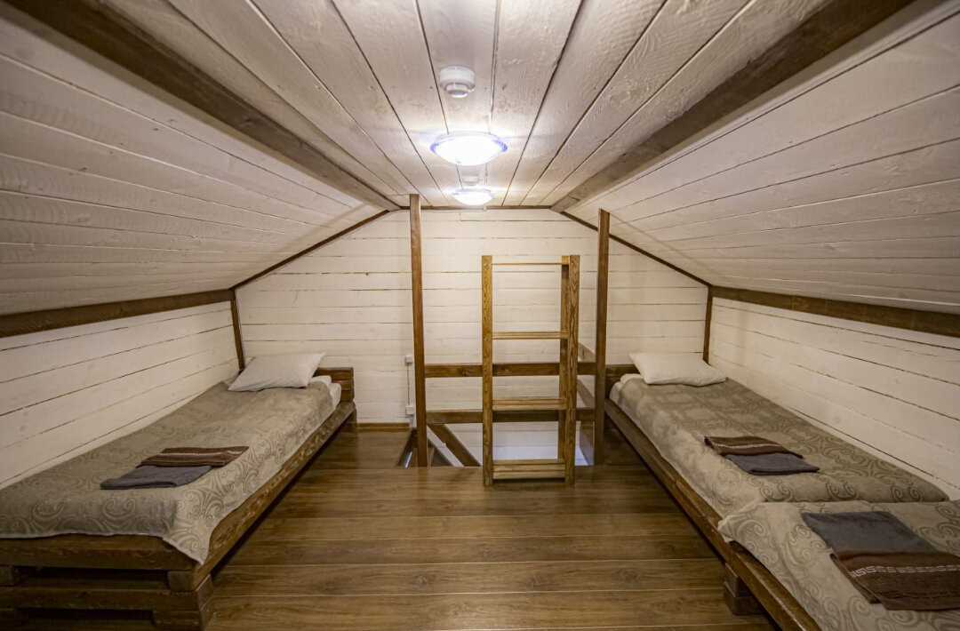 Фото Большие Коты