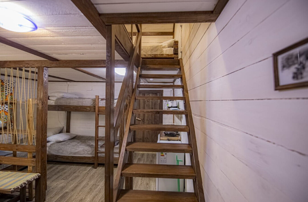 Фото Большие Коты