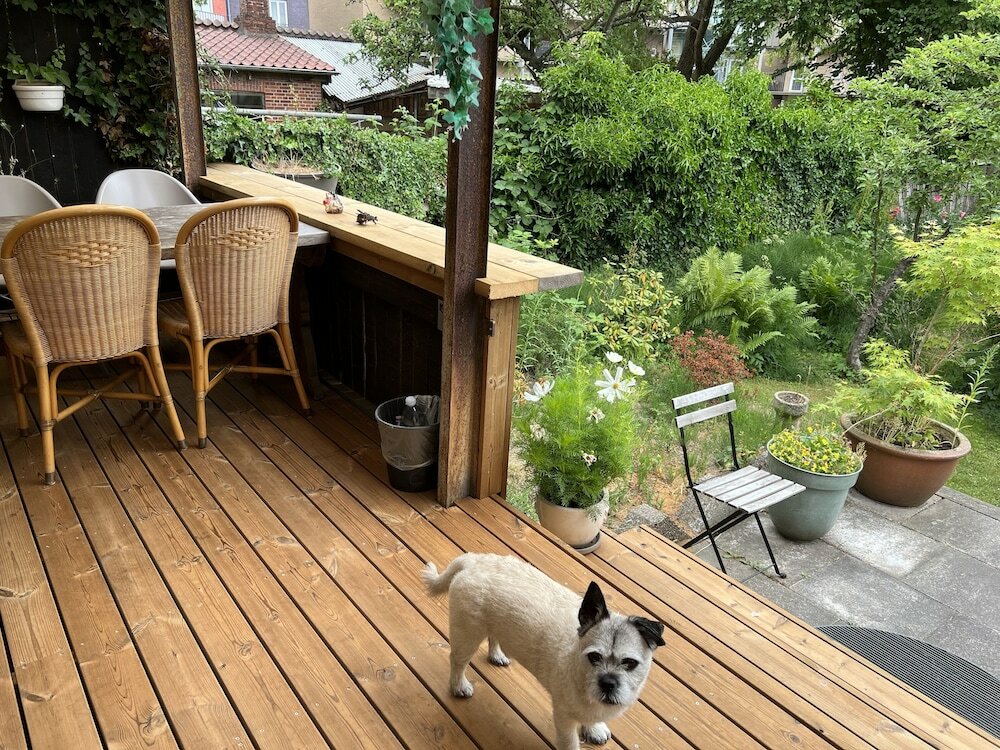 Фото Davaas bed & breakfast