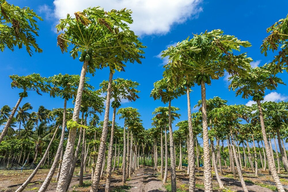 Фото Relax Residence 