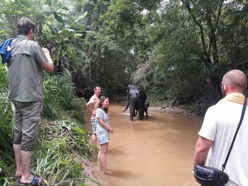 Гостиница Eagle Safari Family Bungalow Udawalwe в Провинции Сабарагамува