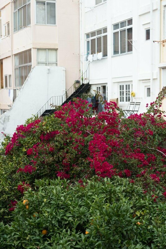 Гостиница Flores Apartment