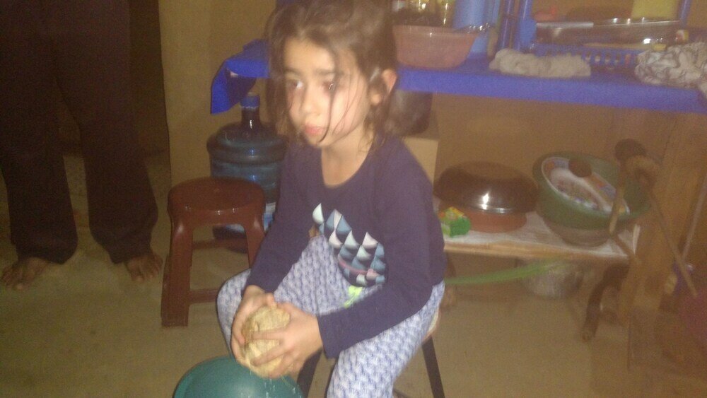 Фото Araliya Self Cooking Resort Dambulla