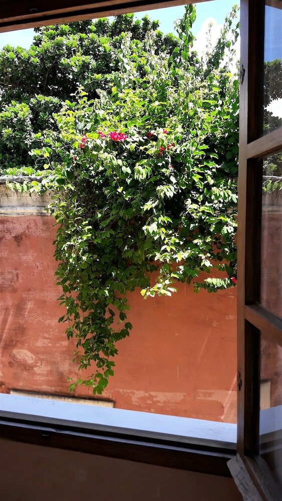 Фото Jardim dos Aloés - Unique B&b