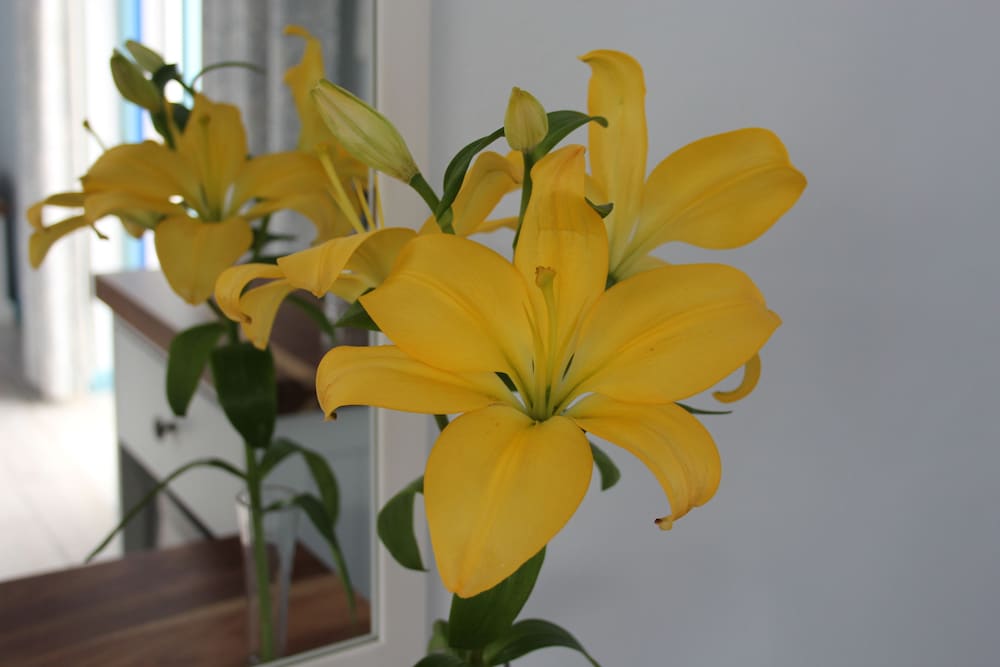 Фото BlueSky Guest House Arniston