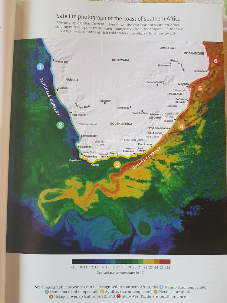 Фото South Point