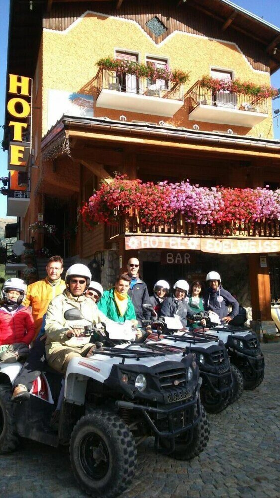 Фото Hotel Edelweiss