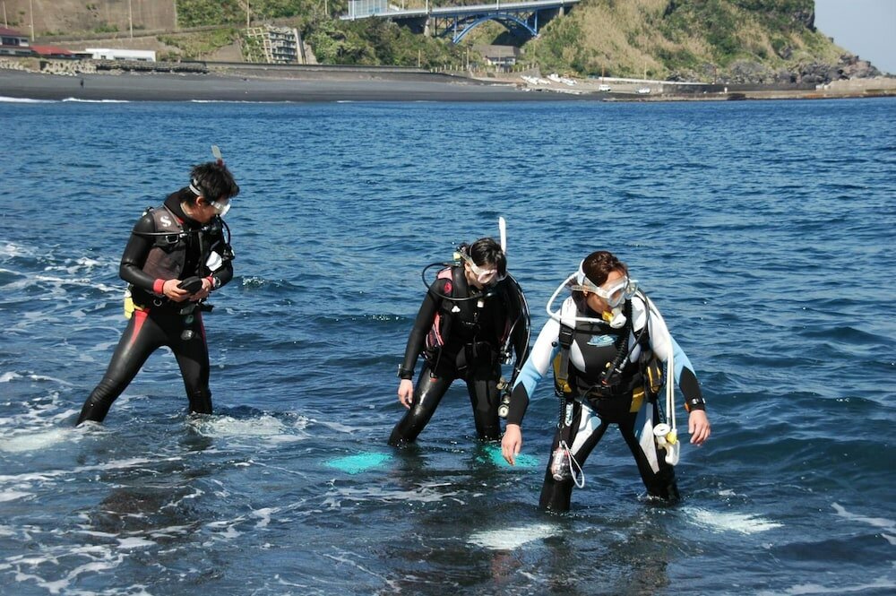 Фото Snapper inn