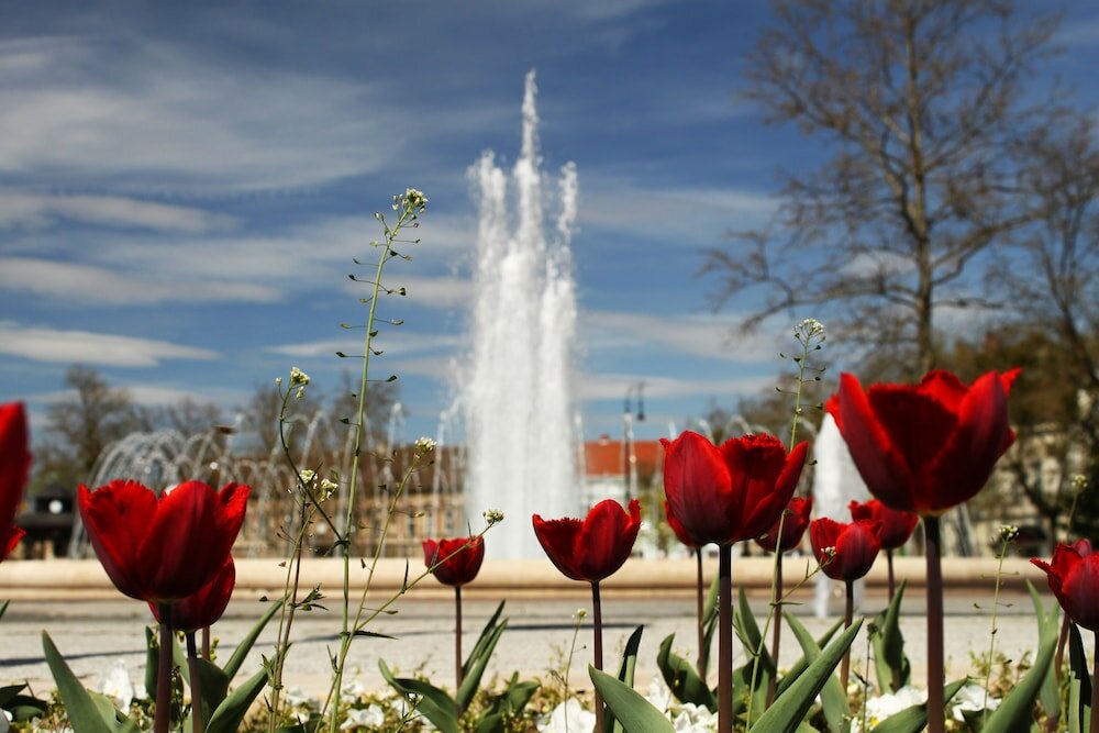 Фото Hotel Centrál