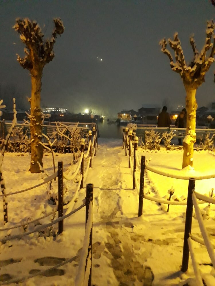 Фото Luxury Inn Badyari Palace Houseboats