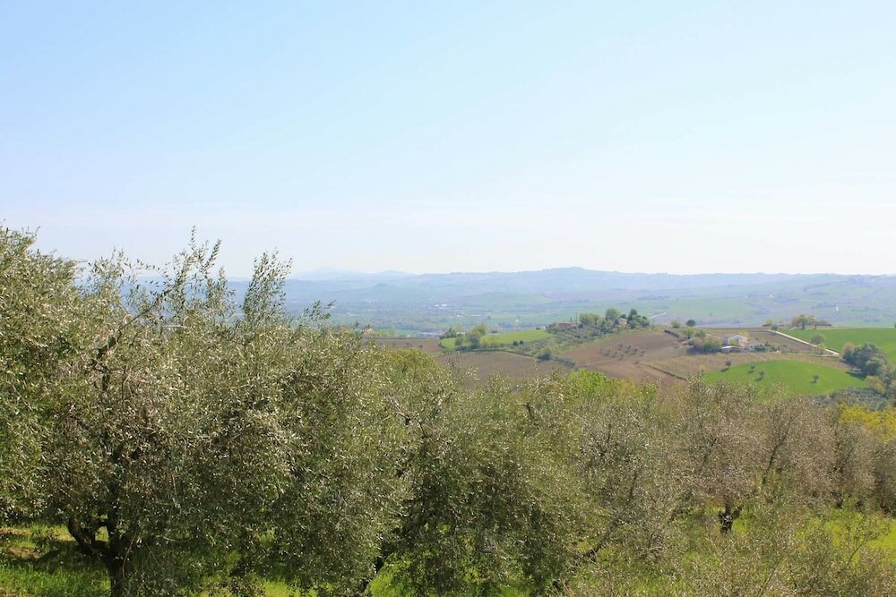 Фото Agriturismo La Vecchia Fonte