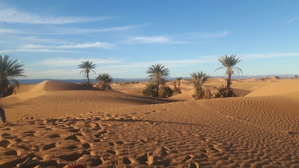 Фото Camp Sahara Nights