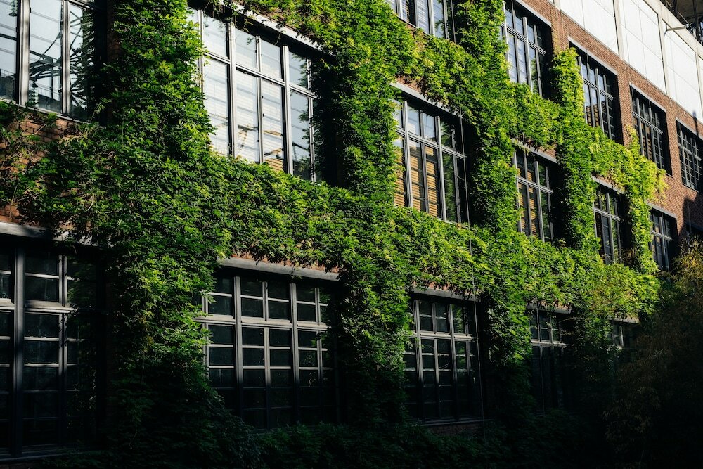 Фото Stamba Hotel