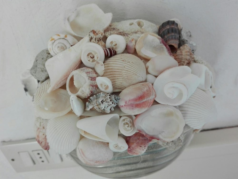 Фото Hotel Euromar