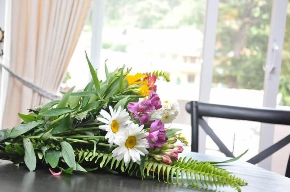 Фото Pine Studio