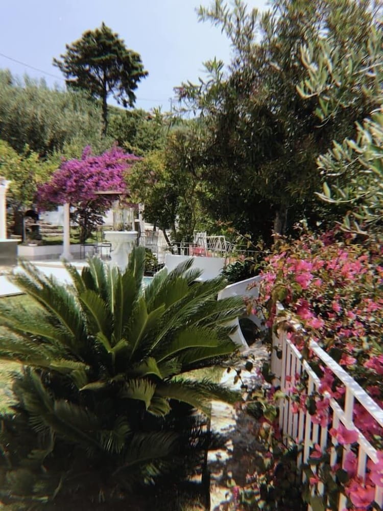 Фото Il Paradiso di Hyele