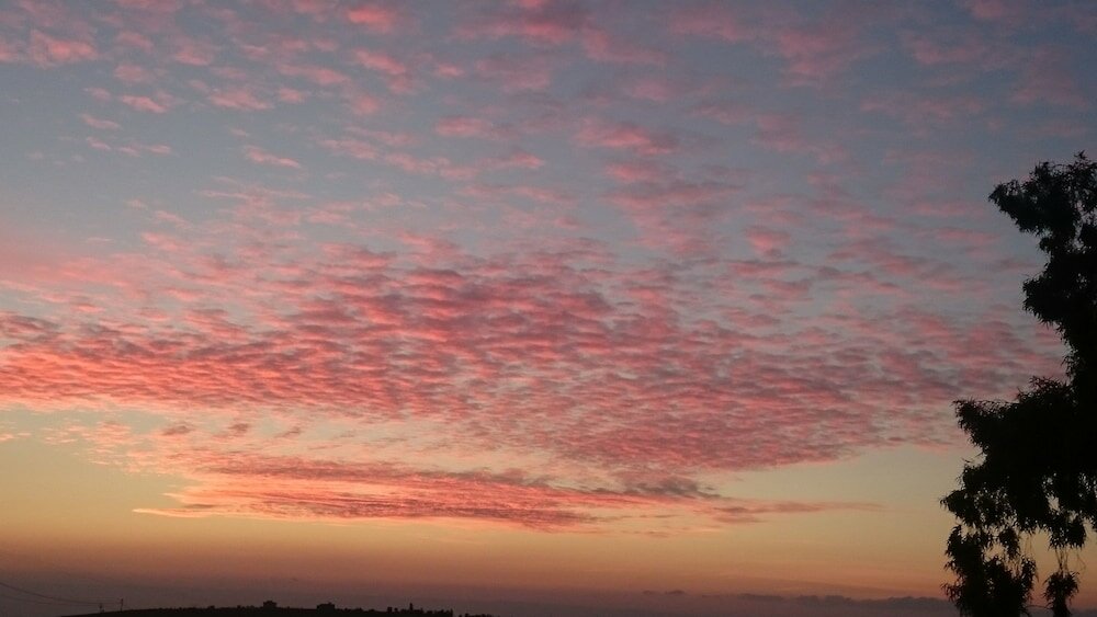 Фото Town of Nebo Hotel