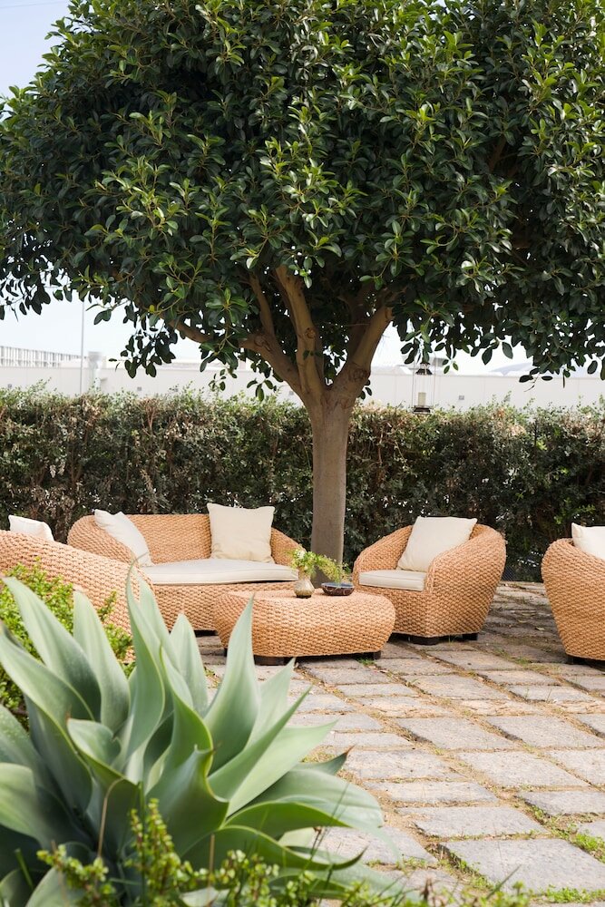 Фото Orange Park