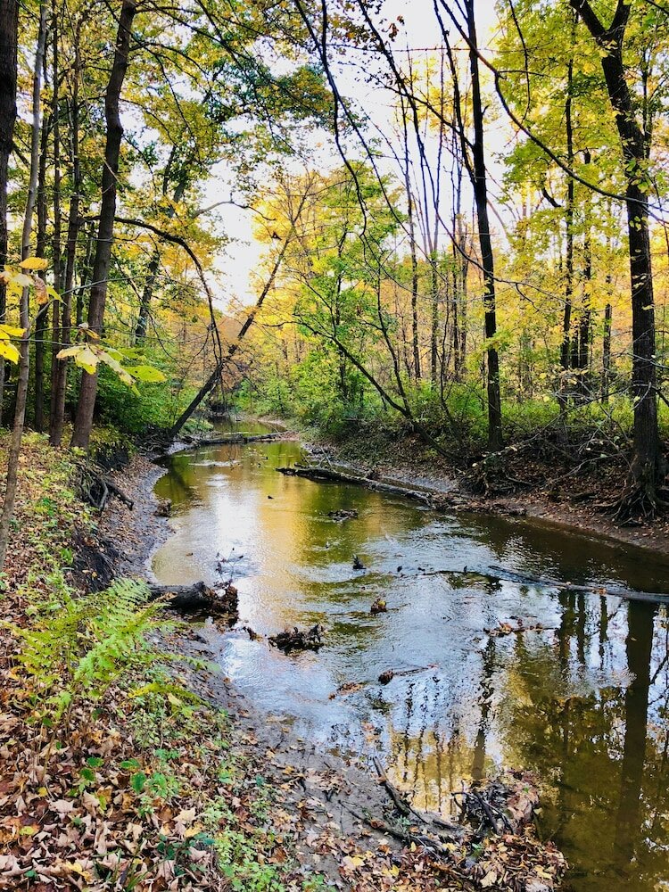 Фото 1735 Stone Farmhouse