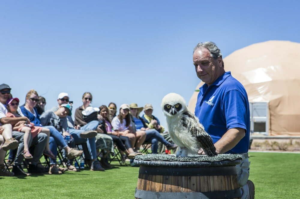 Фото Clear Sky Resorts - Grand Canyon