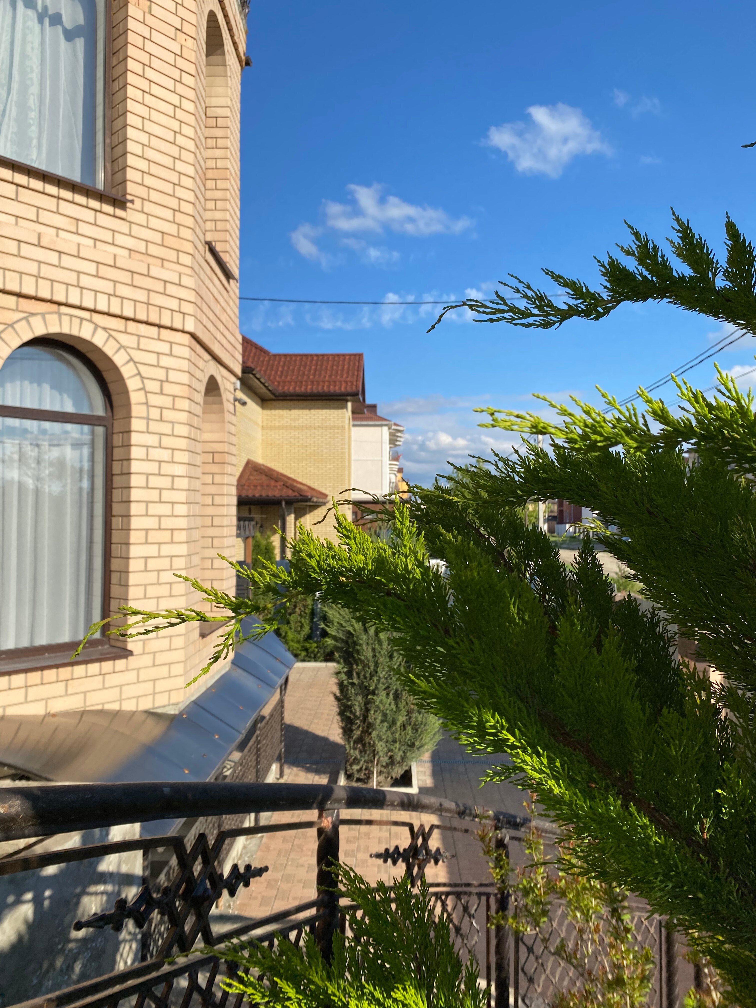 Фото Золотые россыпи