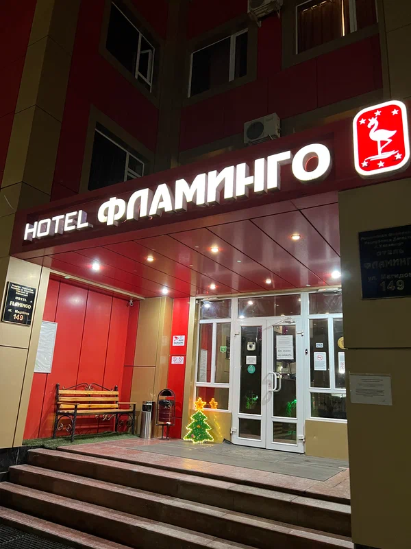 Фото Фламинго