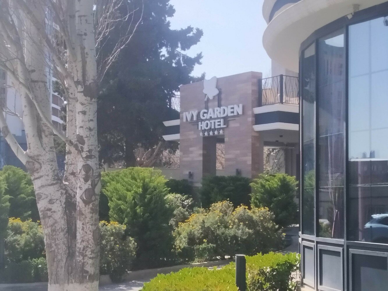 Фото Ivy Garden Hotel