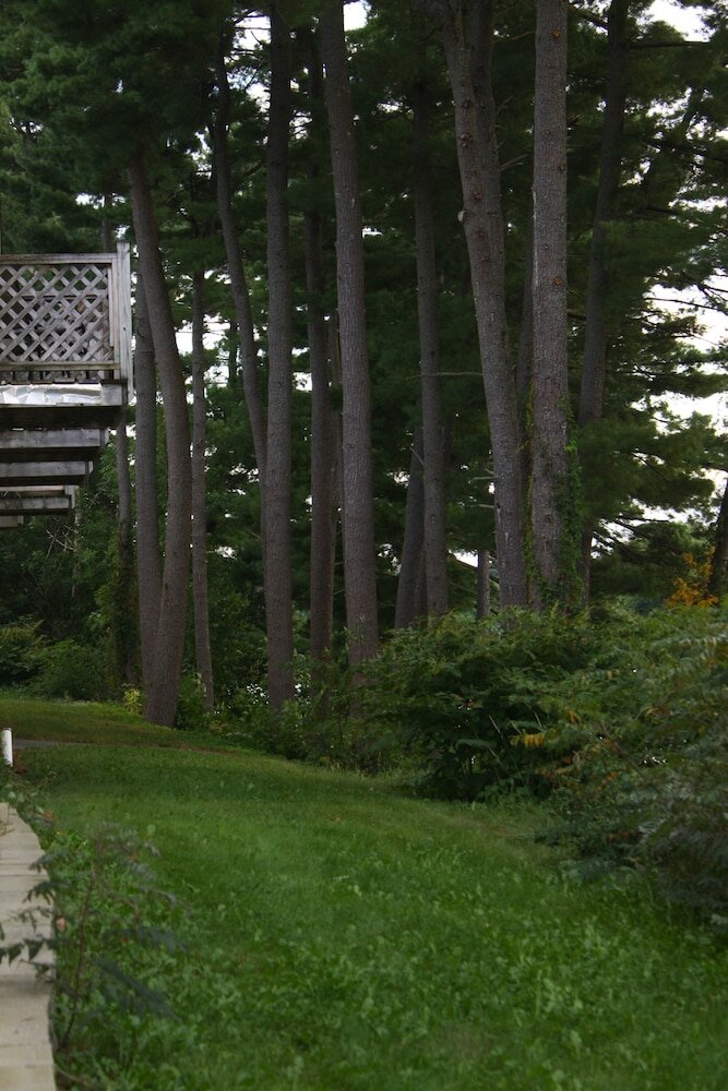 Фото Milford Motel On The River