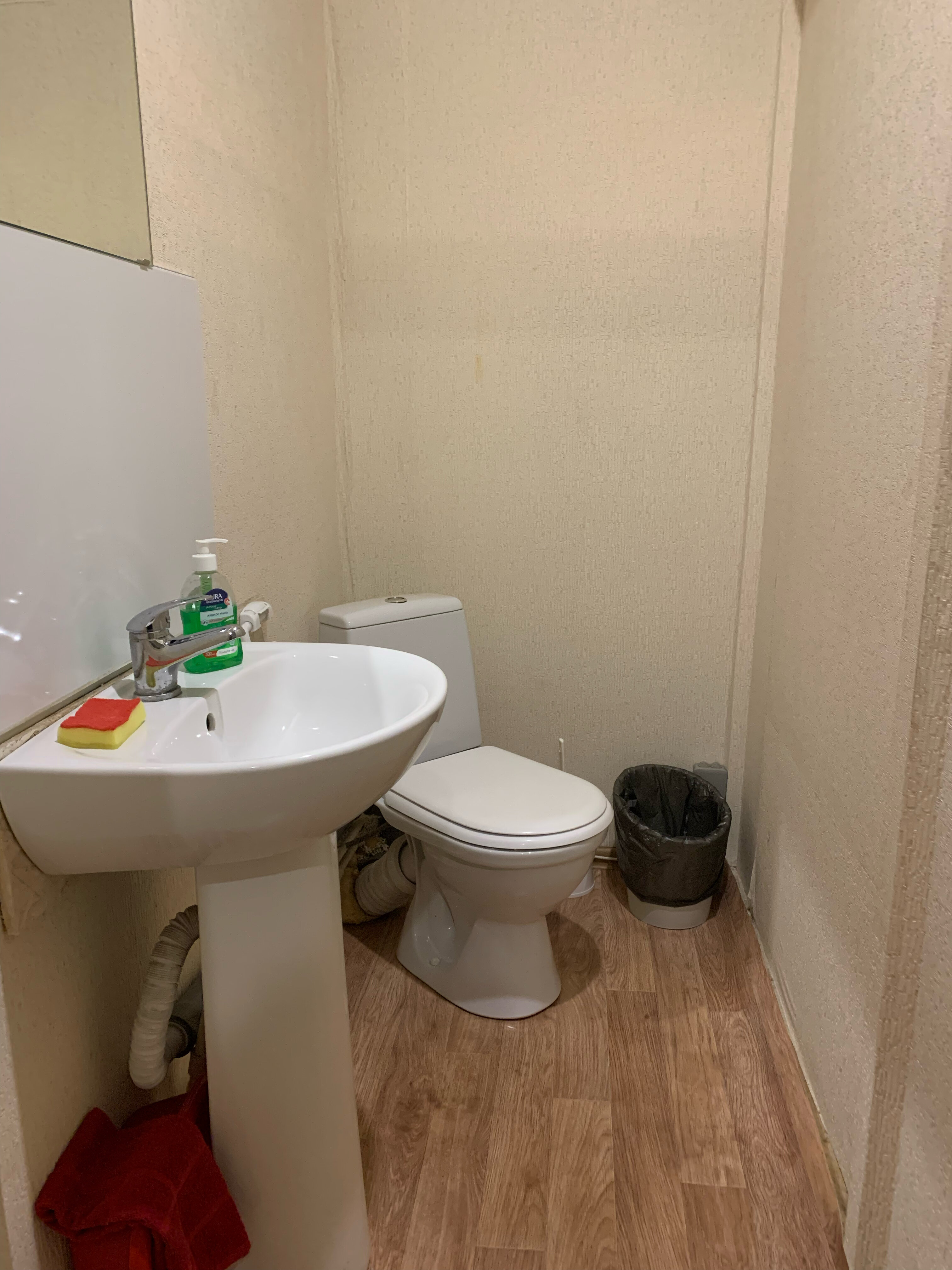 Фото Берёзка