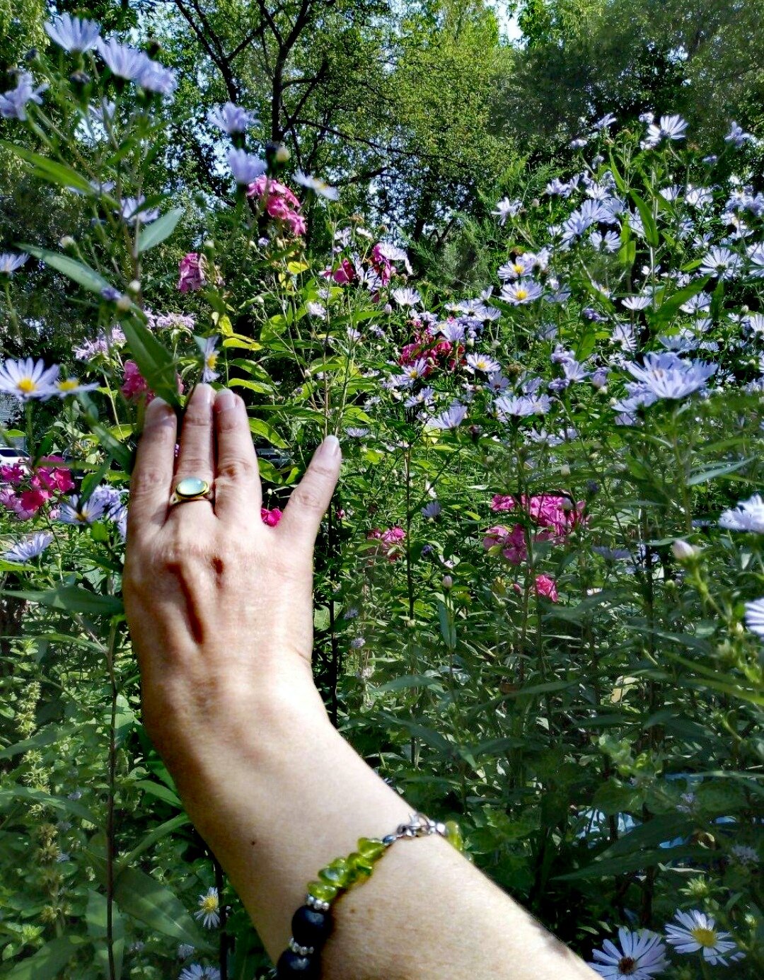 Фото Маршал