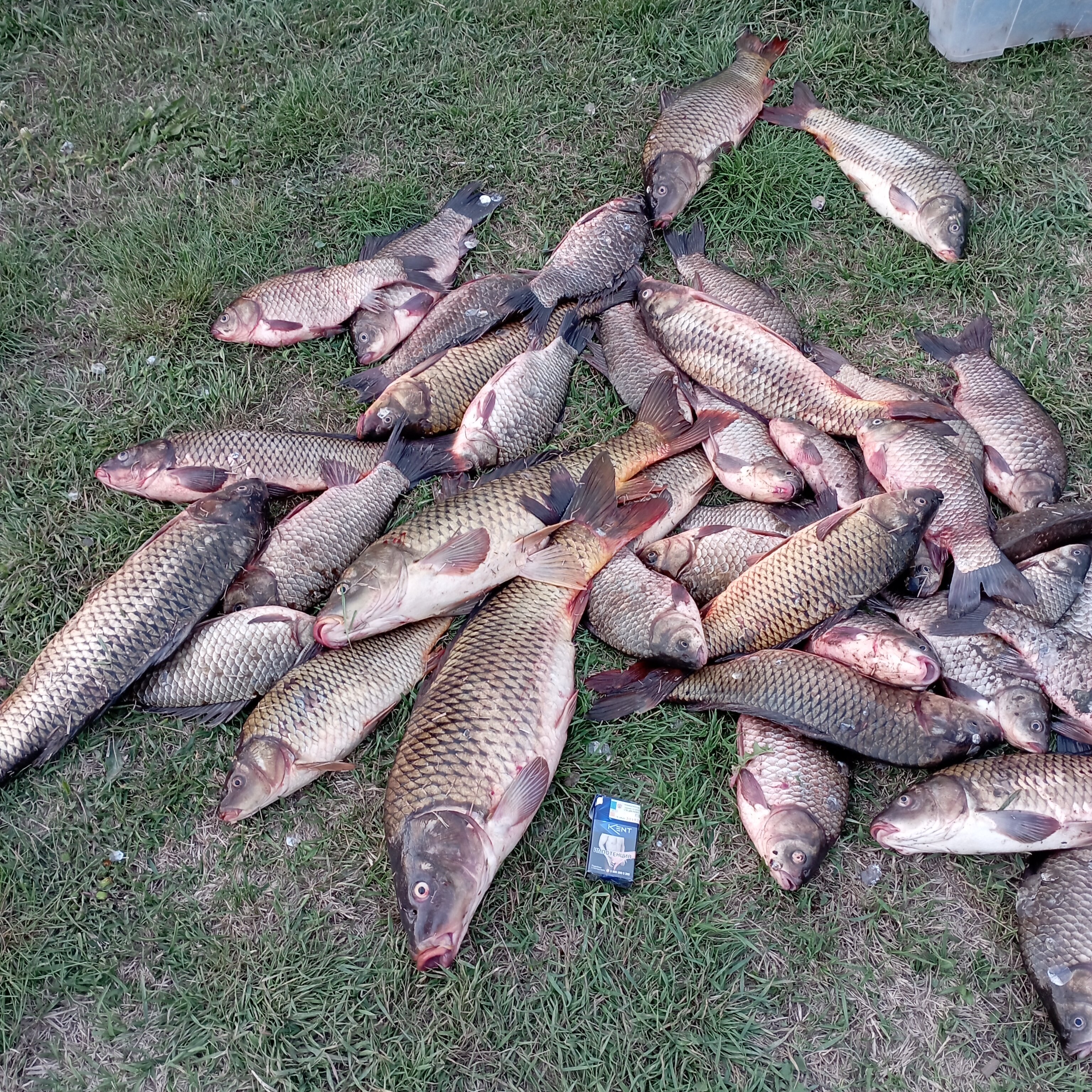 Фото У дяди Вади