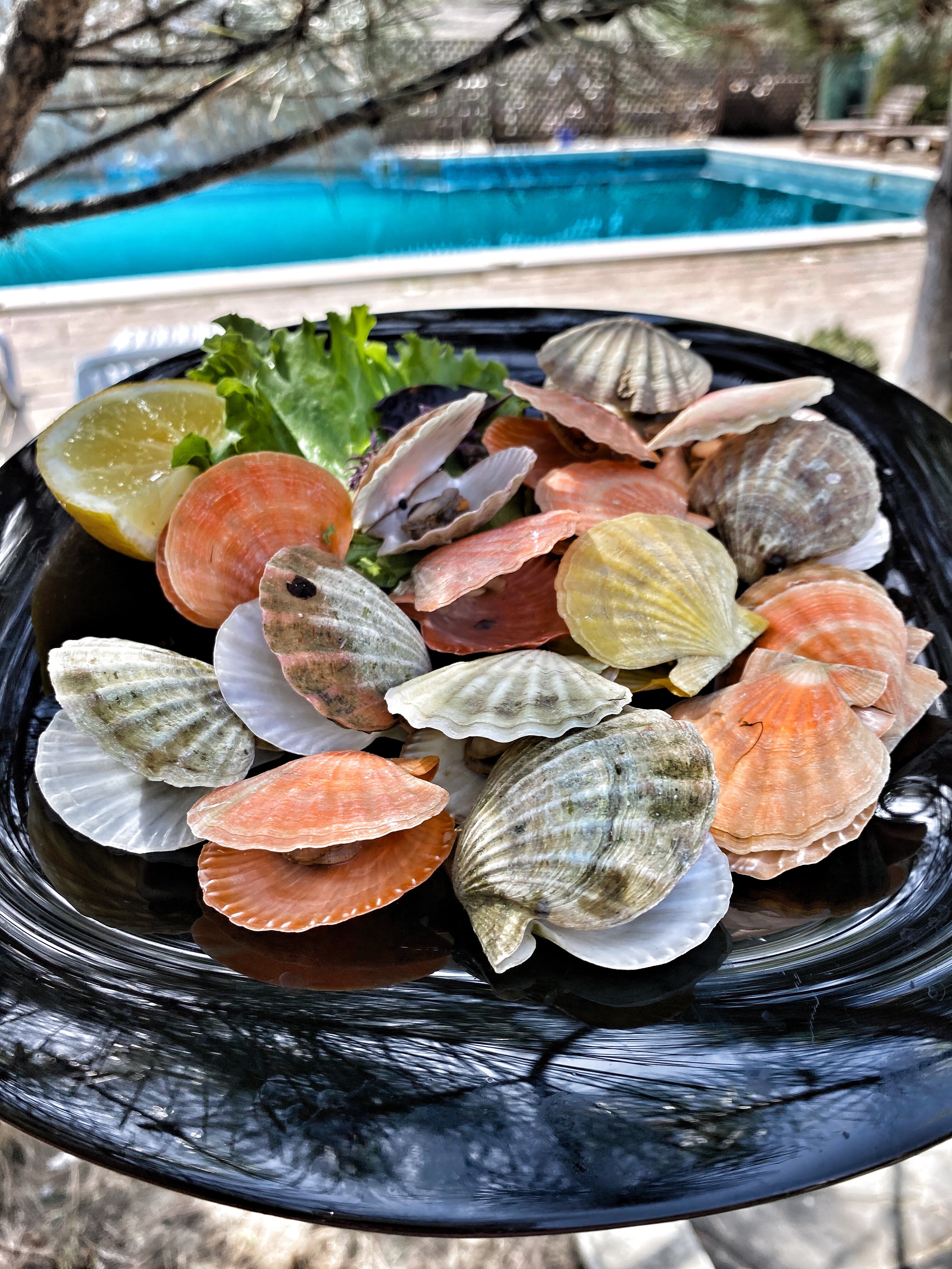 Фото Скифская долина