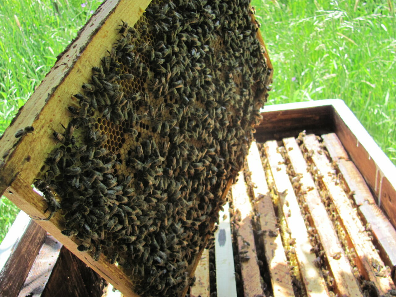 Фото Четыре стихии