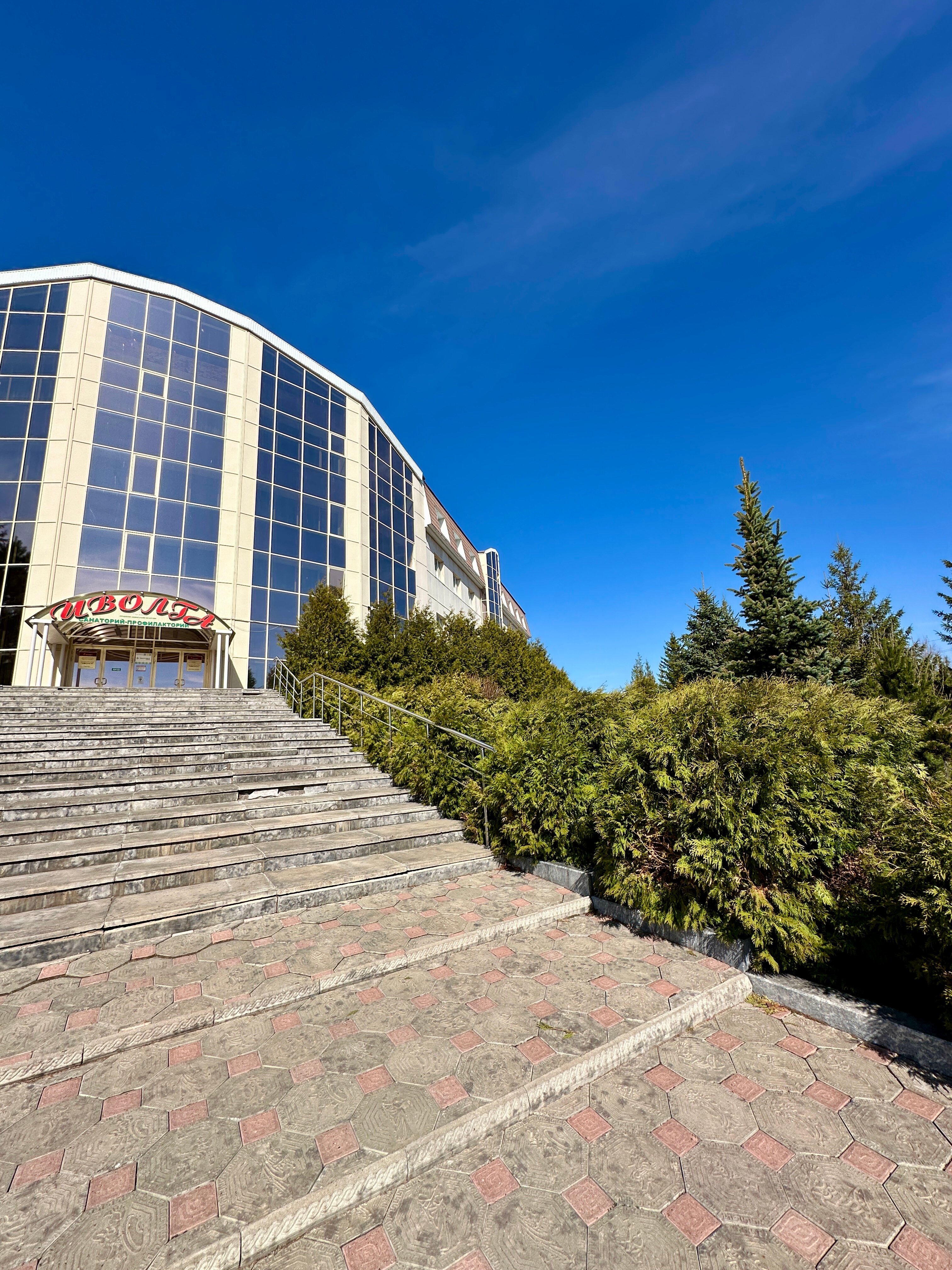 Фото Иволга