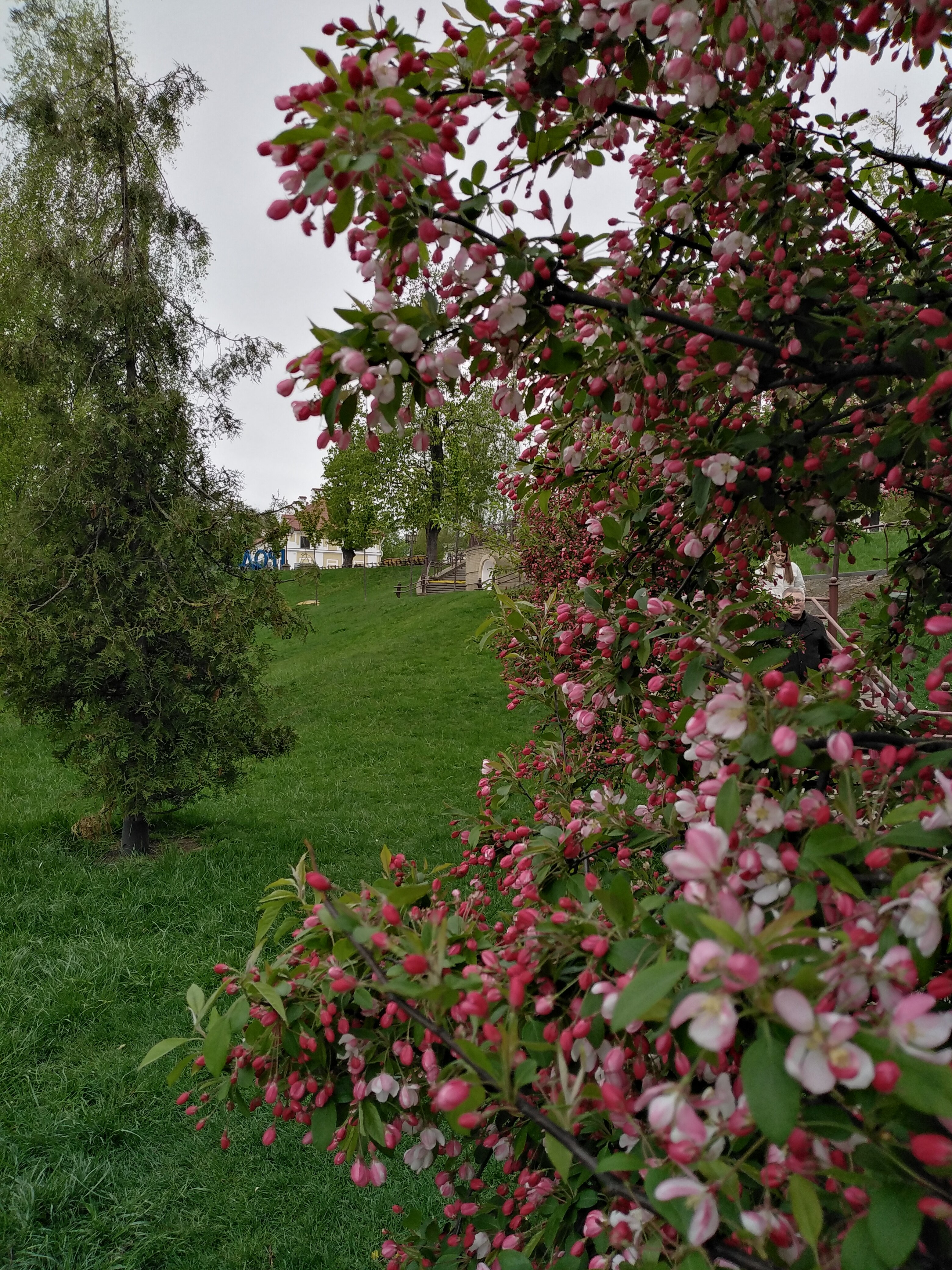 Фото Апарт отель Семашко