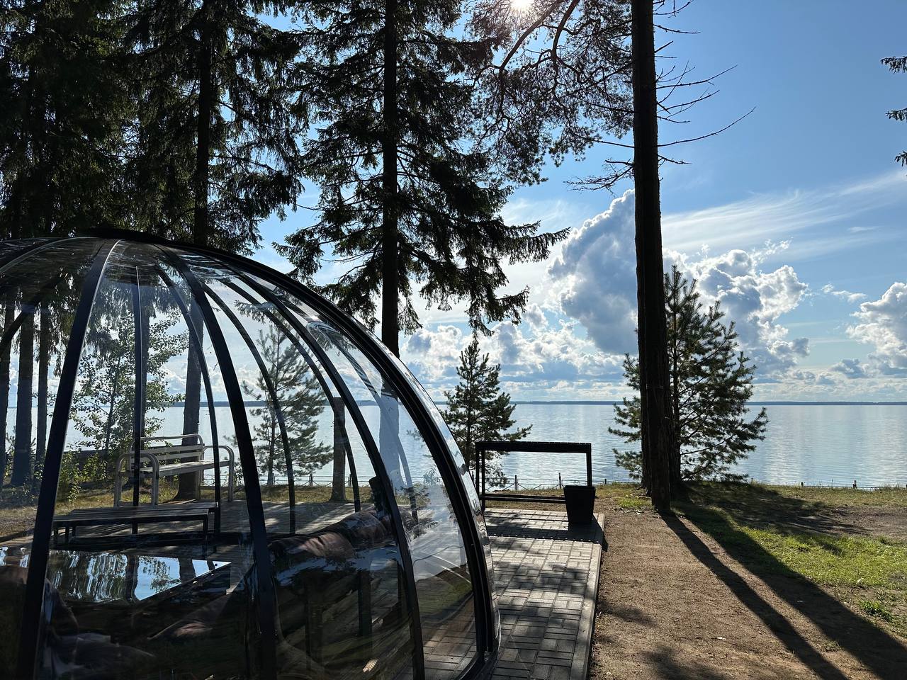 Фото Солнечный бор