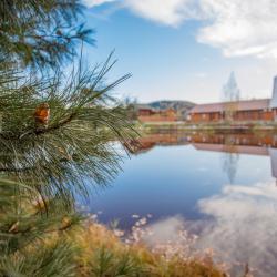 Фото Озерки