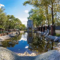 Фото Звездная по Владивостокскому шоссе