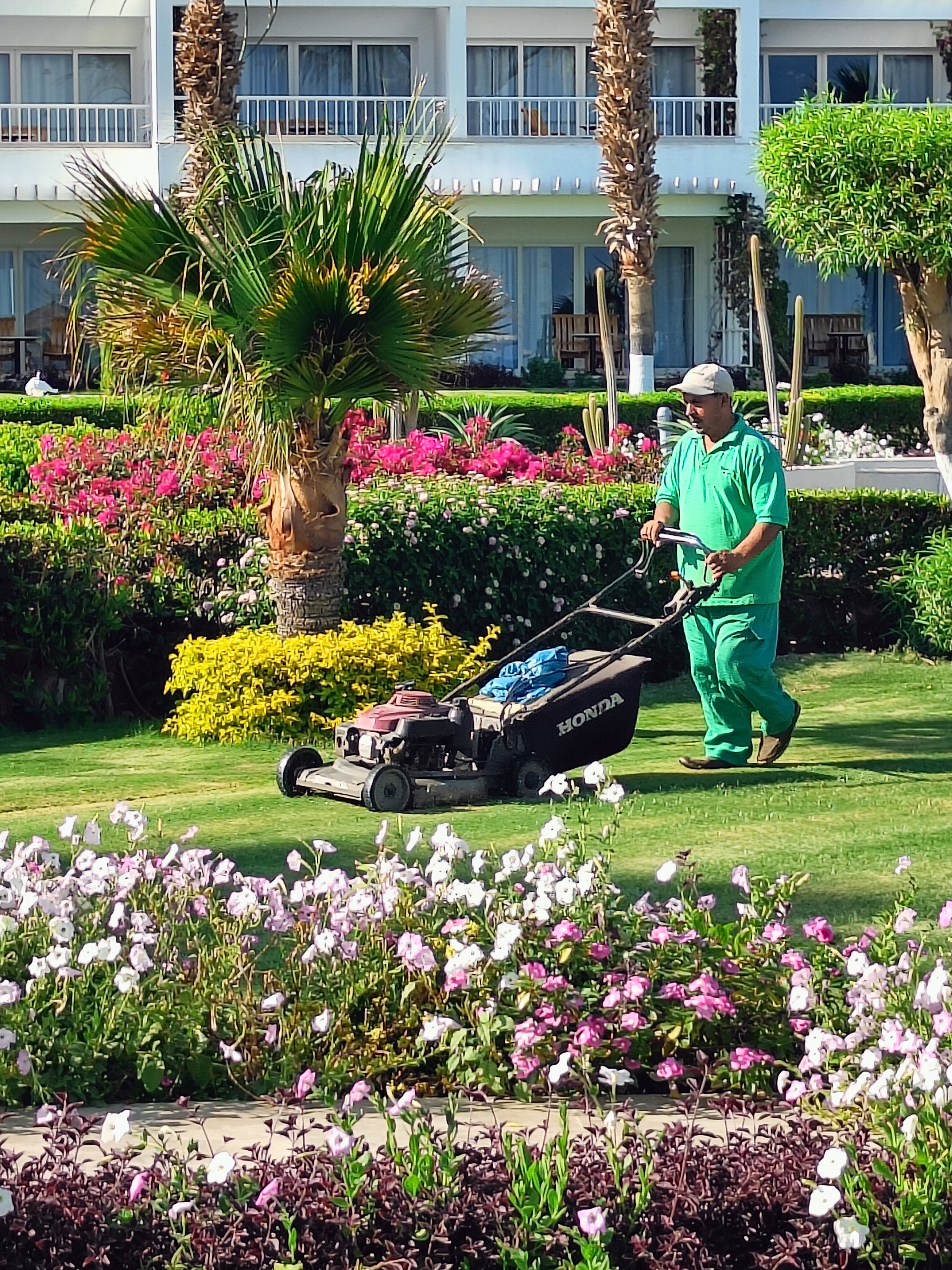 Фото Monte Carlo Sharm Resort & SPA