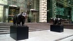 Kaloy.ru (Vereyskaya Street, 29с33), legal services